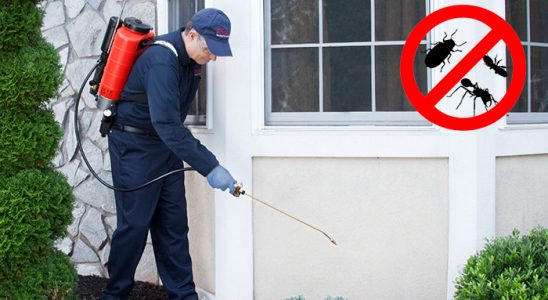 Sivas Bit İlaçlama böcek ilaçlama ve haşere kontrolü — ilaclama-tr.com